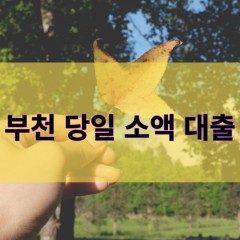 부천 저신용자대출 부천 당일급전대출 부천 비대면대출 부천 개인돈대출