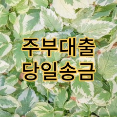 당일송금 빠른 주부대출 진행 내용 알아보고 체크하자