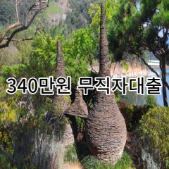 340만원무직자대출 급전 당일 소액 일수 월변