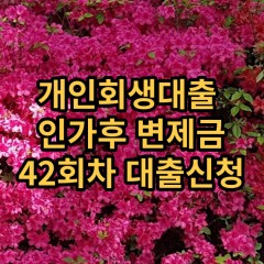 개인회생대출 인가후42회차 개인회생대출 변제금42회차 개인회생중대출 미납금42회차 대출가능한곳