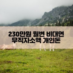 무직자 230만원소액대출 230만원개인돈대출 230만원월변대출 230만원비대면대출 무직자