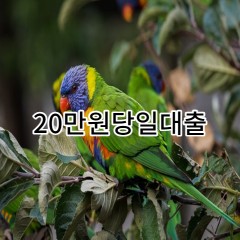 20만원 당일 소액 월변 일수 급전 대출