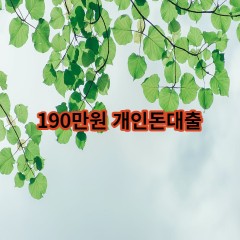 190만원개인돈대출 급전 당일 소액 일수 월변