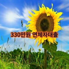 330만원 연체자대출 급전 당일 소액 일수 월변