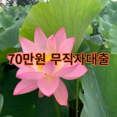 70만원무직자대출 급전 당일 소액 일수 월변