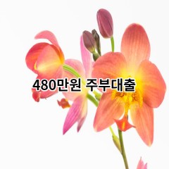 480만원주부대출 급전 당일 소액 일수 월변