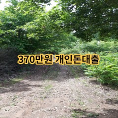 370만원개인돈대출 급전 당일 소액 일수 월변