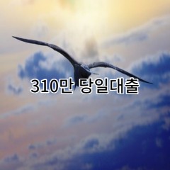 310만원대출 급전 당일 소액 일수 월변