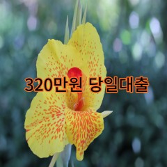 320만원대출 급전 당일 소액 일수 월변