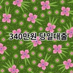 340만원대출 급전 당일 소액 일수 월변