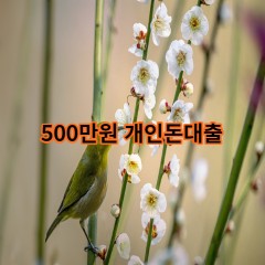 500만원개인돈대출 급전 당일 소액 일수 월변