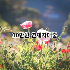 10만원 연체자대출 급전 당일 소액 일수 월변