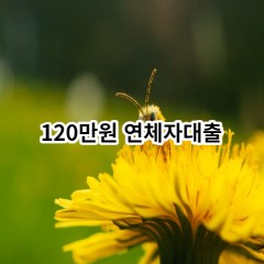 120만원 연체자대출 급전 당일 소액 일수 월변