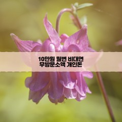 무방문 10만원소액대출 10만원개인돈대출 10만원월변대출 10만원비대면대출 무방문