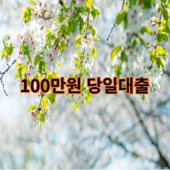 100만원대출 급전 당일 소액 일수 월변