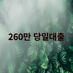 260만원대출 급전 당일 소액 일수 월변