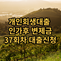 개인회생대출 인가후37회차 개인회생대출 변제금37회차 개인회생중대출 미납금37회차 대출가능한곳