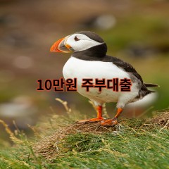 10만원 주부대출 급전 당일 소액 일수 월변