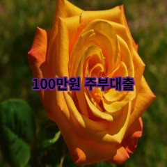 100만원주부대출 급전 당일 소액 일수 월변