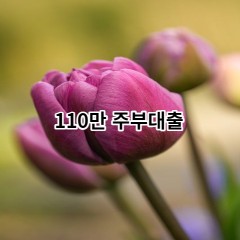 110만원주부대출 급전 당일 소액 일수 월변