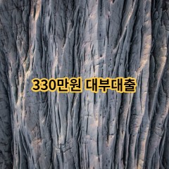 330만원 대부대출 급전 당일 소액 일수 월변