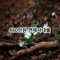 480만원 연체자대출 급전 당일 소액 일수 월변