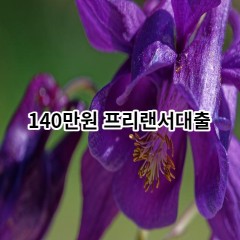 140만원 프리랜서대출 급전 당일 소액 일수 월변