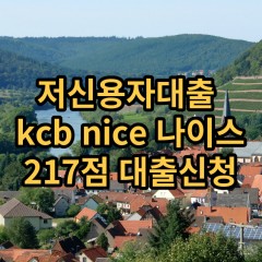 저신용자대출 kcb217점 저신용소액대출 nice217점 저신용비대면대출 나이스217점 신용대출가능한곳