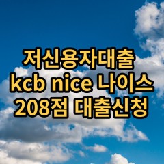 저신용자대출 kcb208점 저신용소액대출 nice208점 저신용비대면대출 나이스208점 신용대출가능한곳