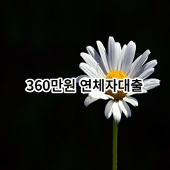 360만원 연체자대출 급전 당일 소액 일수 월변