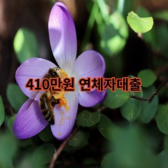 410만원 연체자대출 급전 당일 소액 일수 월변