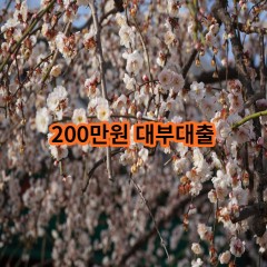 200만원 대부대출 급전 당일 소액 일수 월변