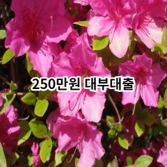 250만원 대부대출 급전 당일 소액 일수 월변