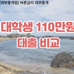 대학생 월변110만원대출 소액110만원대출 개인돈110만원 비대면110만원