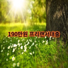 190만원 프리랜서대출 급전 당일 소액 일수 월변