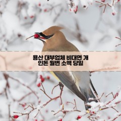 용산대부업체 용산비대면대부업체 대부업체개인돈 용산월변대부업체 용산소액대부업체