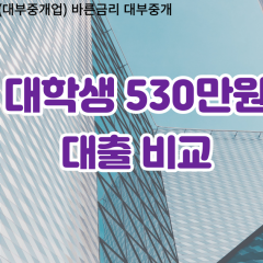 대학생 월변530만원대출 소액530만원대출 개인돈530만원 비대면530만원