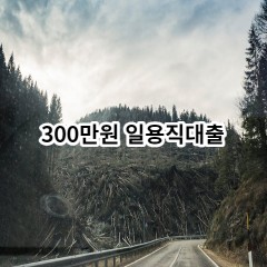 300만원 일용직대출 급전 당일 소액 일수 월변