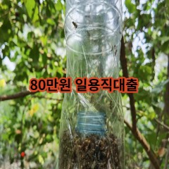 80만원 일용직대출 급전 당일 소액 일수 월변