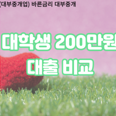 대학생 월변200만원대출 소액200만원대출 개인돈200만원 비대면200만원