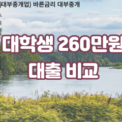 대학생 월변260만원대출 소액260만원대출 개인돈260만원 비대면260만원