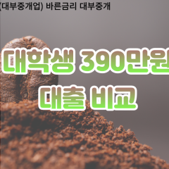 대학생 월변390만원대출 소액390만원대출 개인돈390만원 비대면390만원