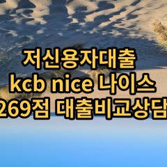 저신용자대출 kcb269점 저신용소액대출 nice269점 저신용비대면대출 나이스269점 신용대출비교상담