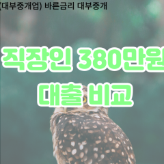 직장인 월변380만원대출 소액380만원대출 개인돈380만원 비대면380만원