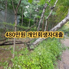 480만원 개인회생자대출 급전 당일 소액 일수 월변