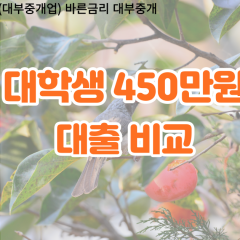 대학생 월변450만원대출 소액450만원대출 개인돈450만원 비대면450만원