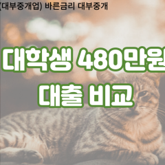 대학생 월변480만원대출 소액480만원대출 개인돈480만원 비대면480만원