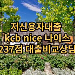 저신용자대출 kcb237점 저신용소액대출 nice237점 저신용비대면대출 나이스237점 신용대출가능한곳