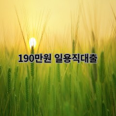 190만원 일용직대출 급전 당일 소액 일수 월변