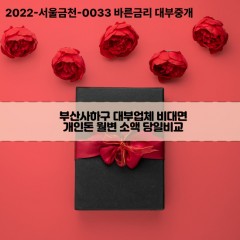 부산사하구대부업체 부산사하구비대면대부업체 대부업체개인돈 부산사하구월변대부업체 부산사하구소액대부업체